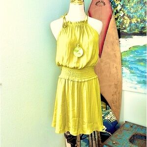 ⭐️Naked Zebra,Lime, Adjustable Upper Ruched Dress,Elastic Waistband,EUC,Size Sm